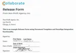 Screenshot of a document template in Collaborate.